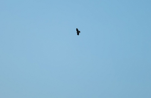 До встречи на Чемпионате!